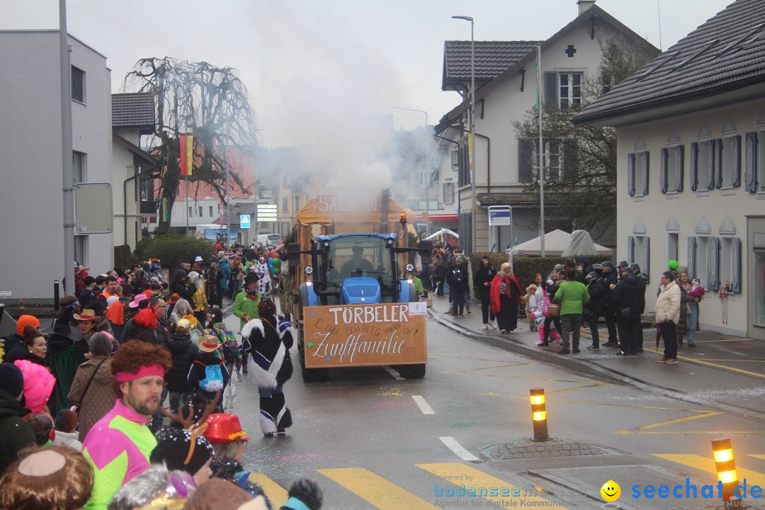 Fasnachtsumzug - Reiden, 09.02.2024