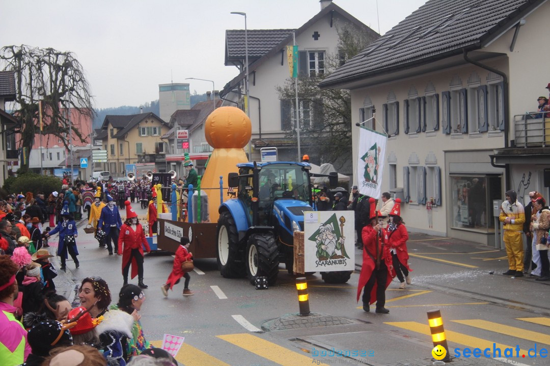 Fasnachtsumzug - Reiden, 09.02.2024