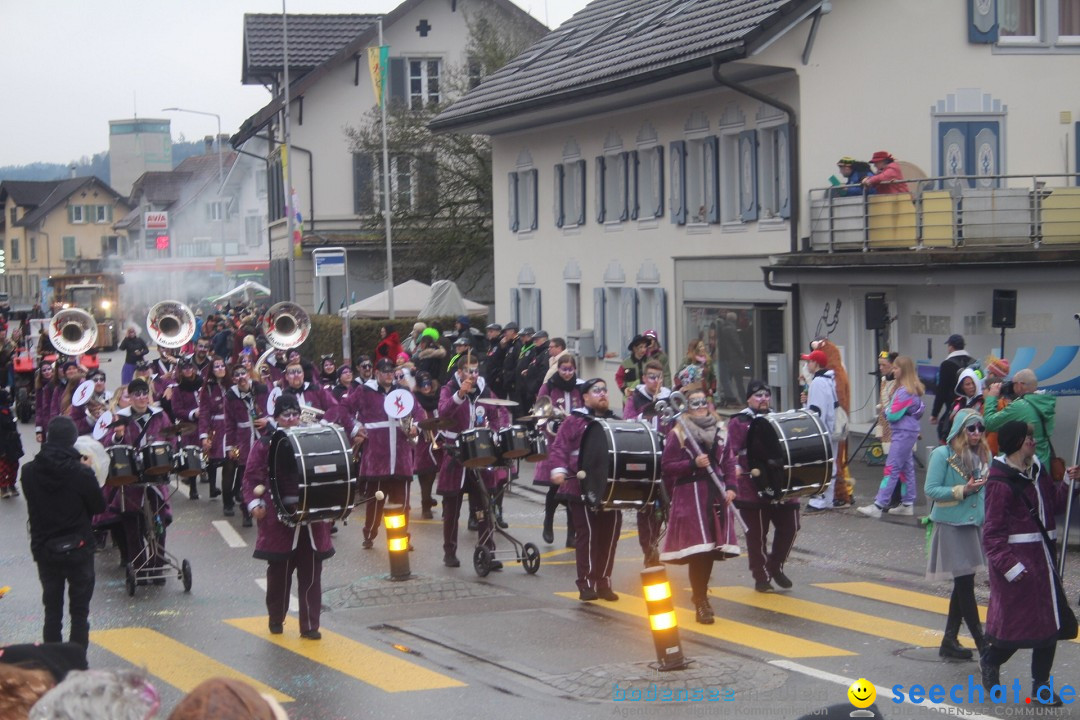 Fasnachtsumzug - Reiden, 09.02.2024