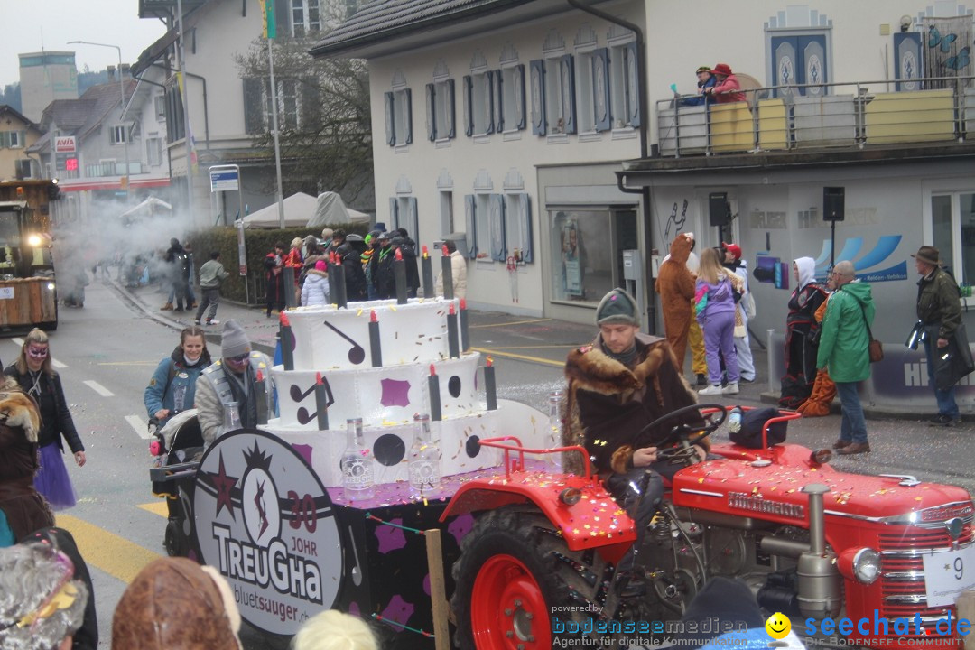 Fasnachtsumzug - Reiden, 09.02.2024