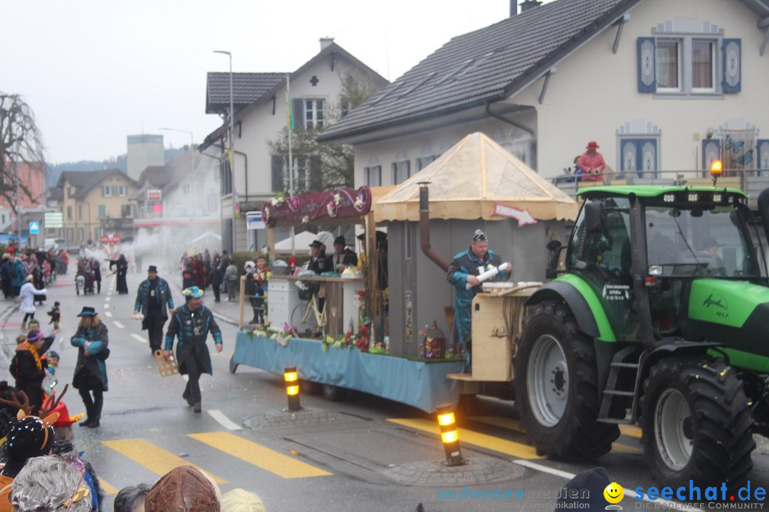 Fasnachtsumzug - Reiden, 09.02.2024