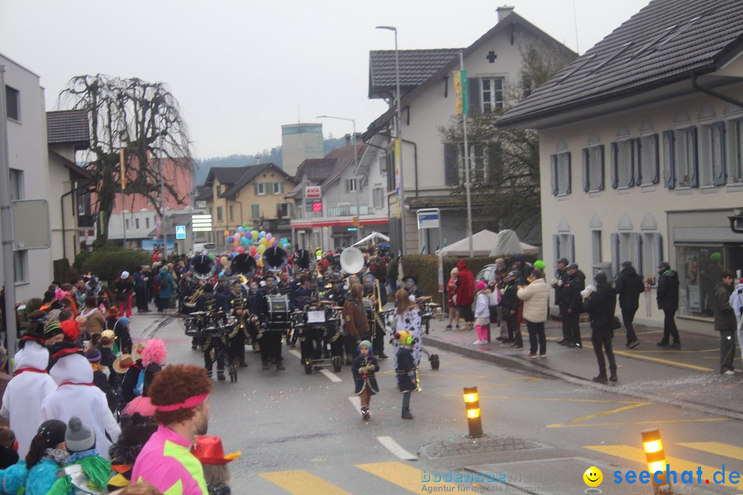 Fasnachtsumzug - Reiden, 09.02.2024