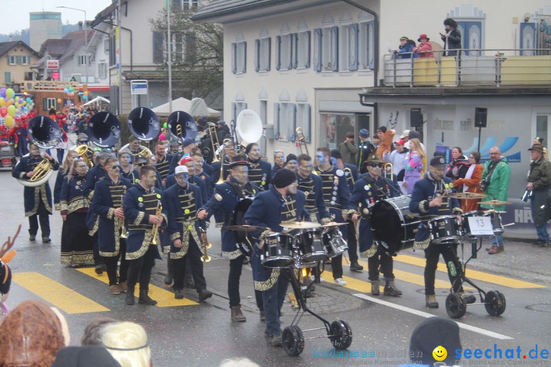 Fasnachtsumzug - Reiden, 09.02.2024