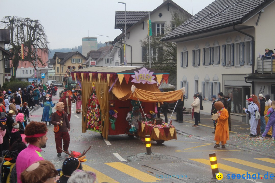 Fasnachtsumzug - Reiden, 09.02.2024