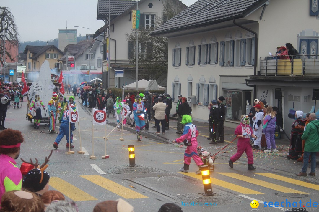 Fasnachtsumzug - Reiden, 09.02.2024