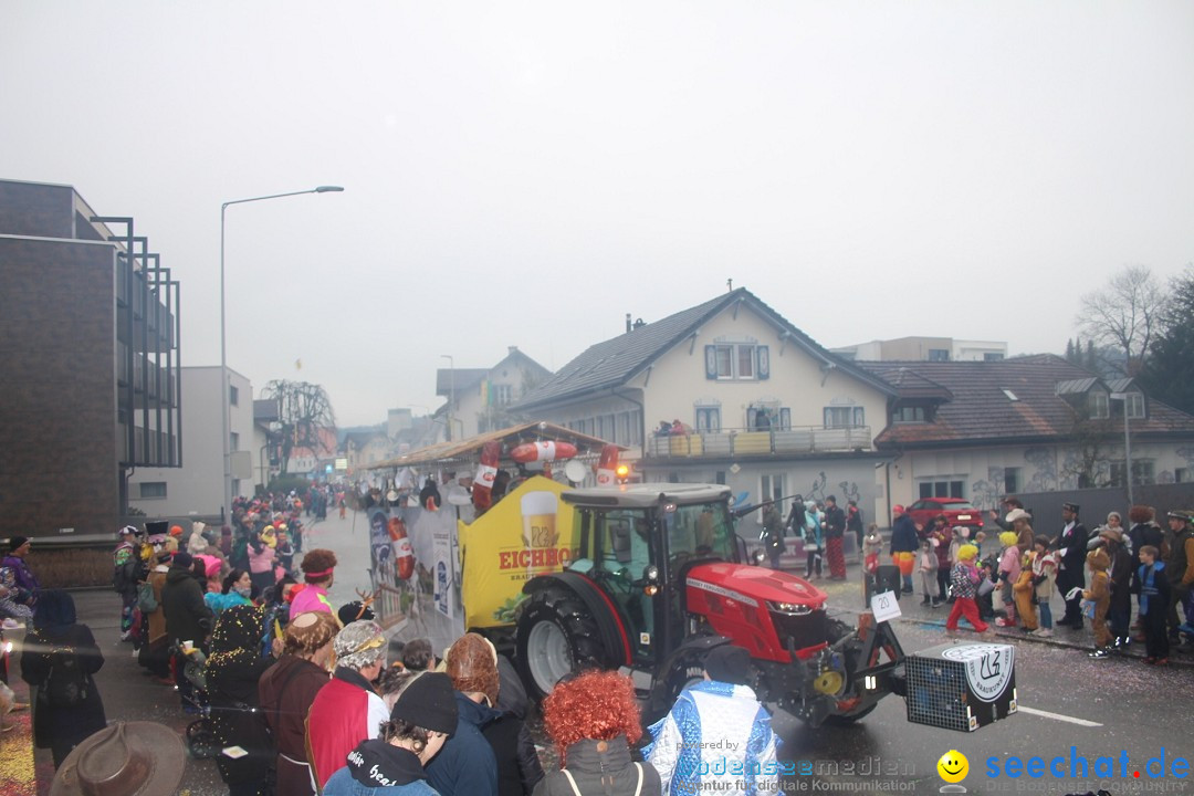 Fasnachtsumzug - Reiden, 09.02.2024