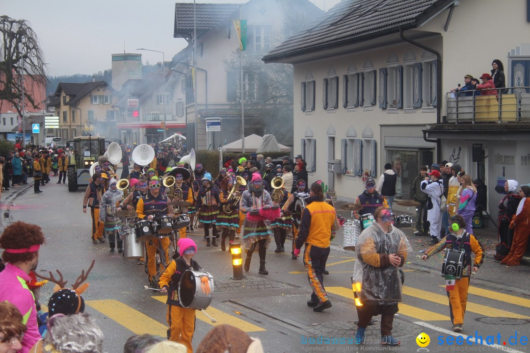 Fasnachtsumzug - Reiden, 09.02.2024