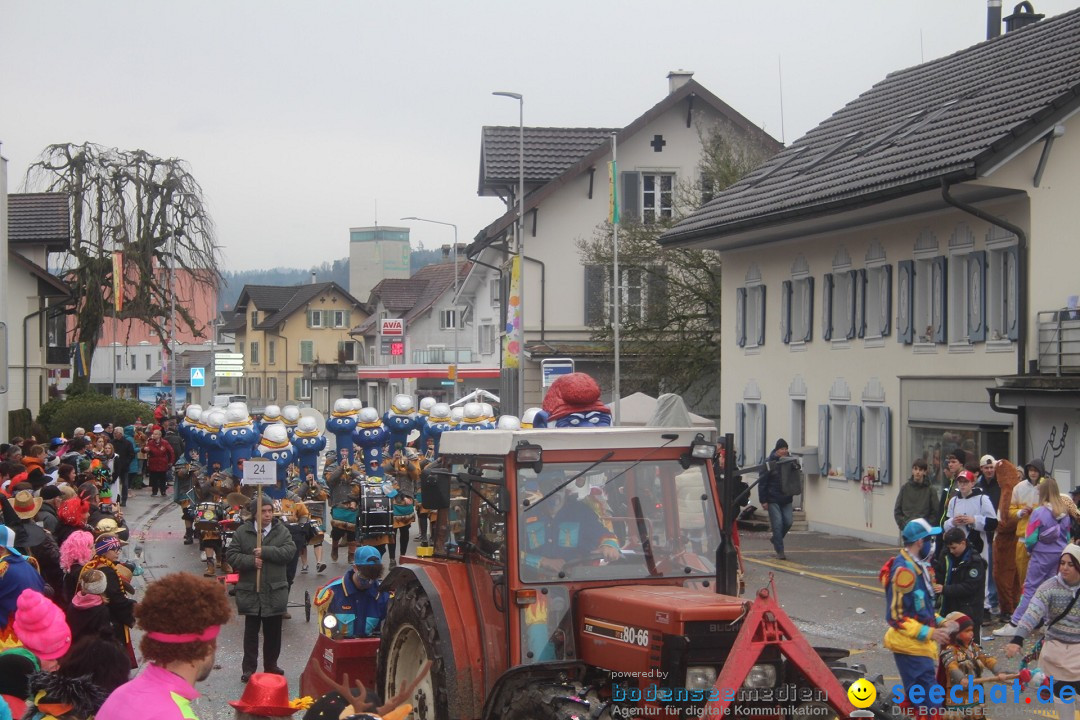 Fasnachtsumzug - Reiden, 09.02.2024