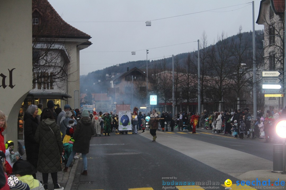 Fasnachtsumzug - Reiden, 09.02.2024