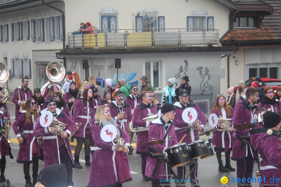 Fasnachtsumzug - Reiden, 09.02.2024