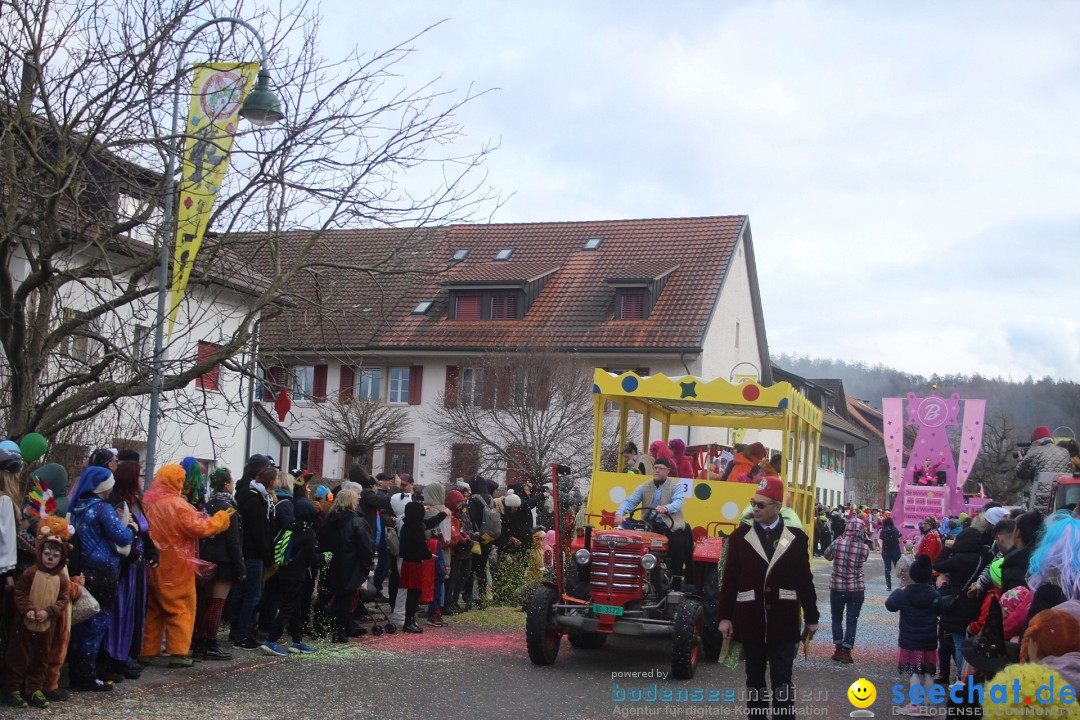 Fasnachtsumzug - Wuerenlingen, 11.02.2024