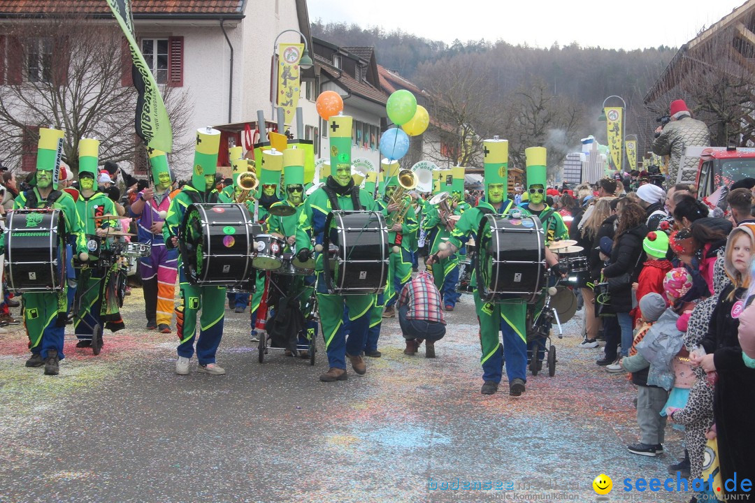 Fasnachtsumzug - Wuerenlingen, 11.02.2024