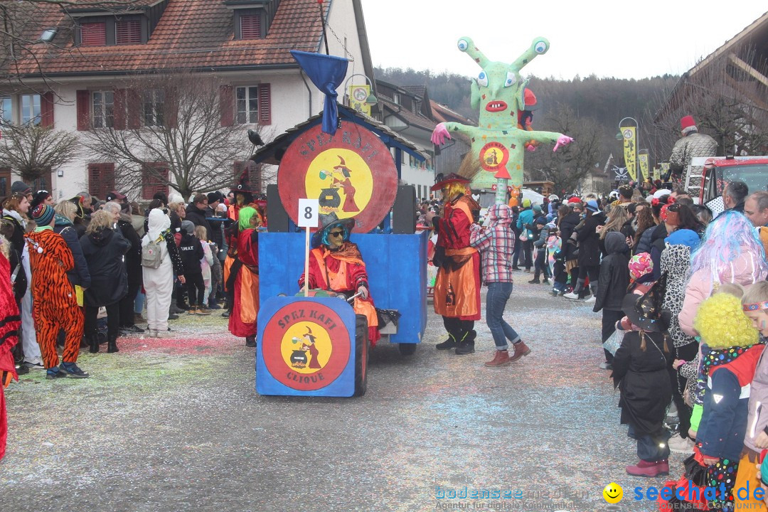 Fasnachtsumzug - Wuerenlingen, 11.02.2024