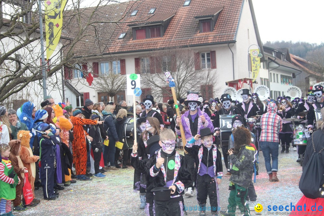 Fasnachtsumzug - Wuerenlingen, 11.02.2024