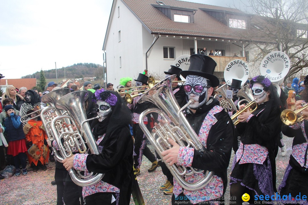 Fasnachtsumzug - Wuerenlingen, 11.02.2024