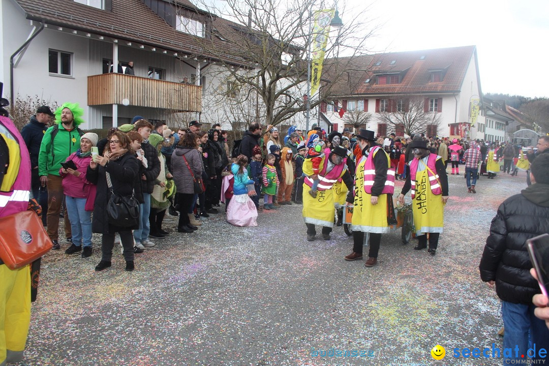 Fasnachtsumzug - Wuerenlingen, 11.02.2024