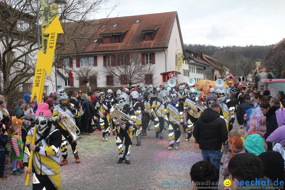 Fasnachtsumzug - Wuerenlingen, 11.02.2024