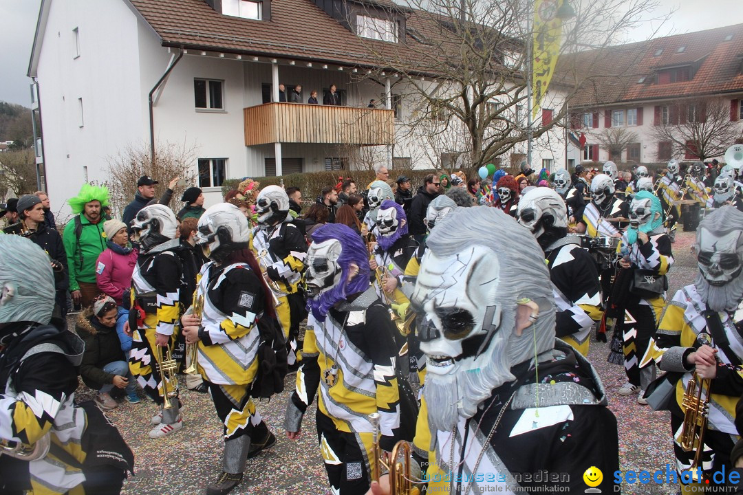 Fasnachtsumzug - Wuerenlingen, 11.02.2024