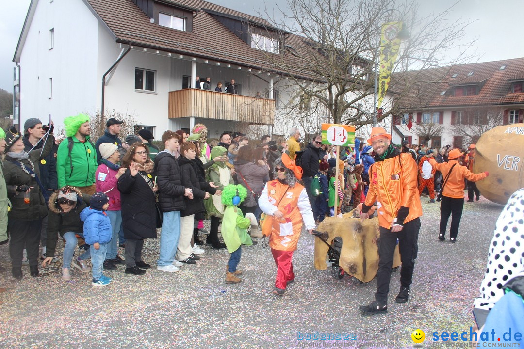 Fasnachtsumzug - Wuerenlingen, 11.02.2024