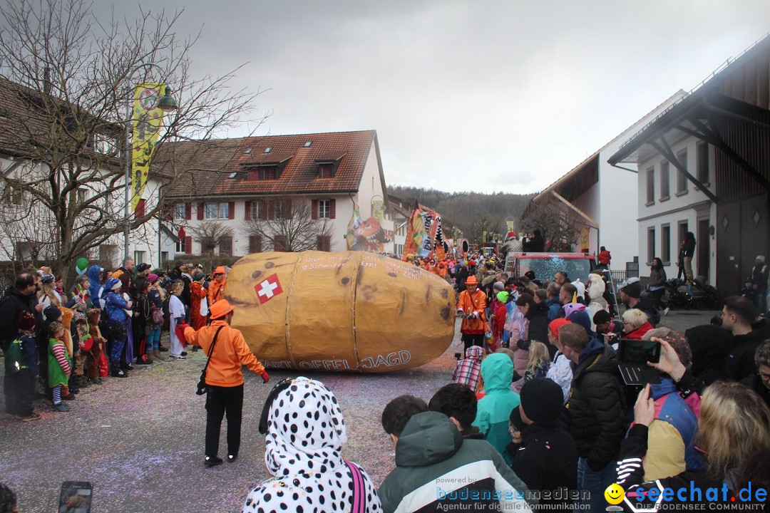 Fasnachtsumzug - Wuerenlingen, 11.02.2024