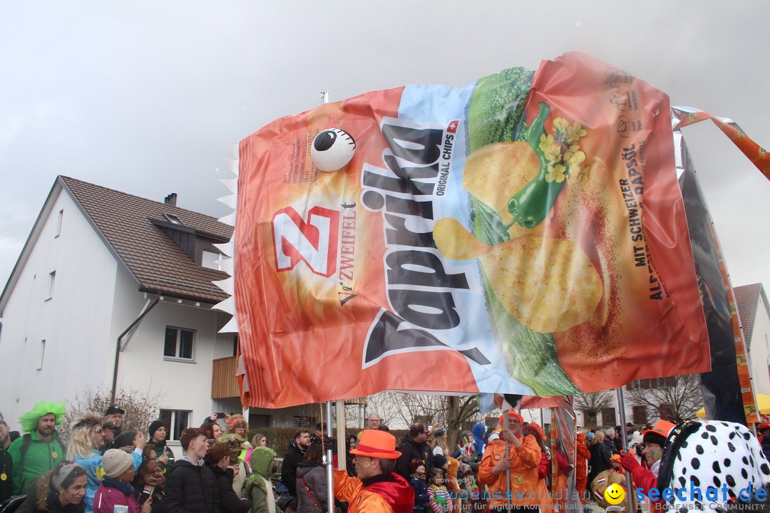 Fasnachtsumzug - Wuerenlingen, 11.02.2024