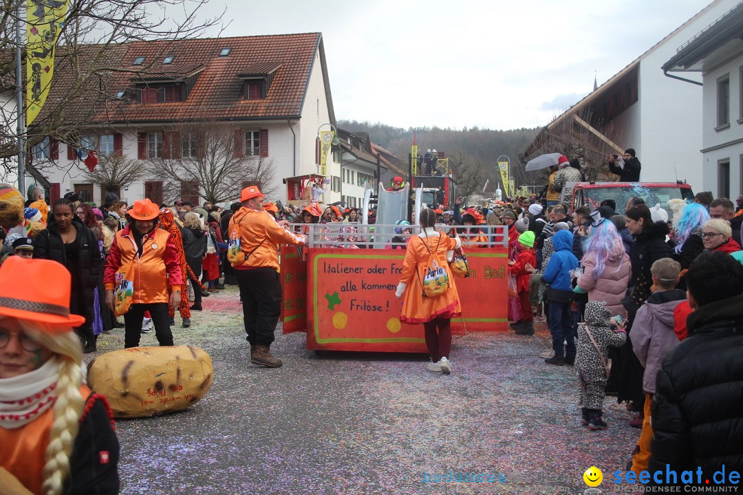 Fasnachtsumzug - Wuerenlingen, 11.02.2024