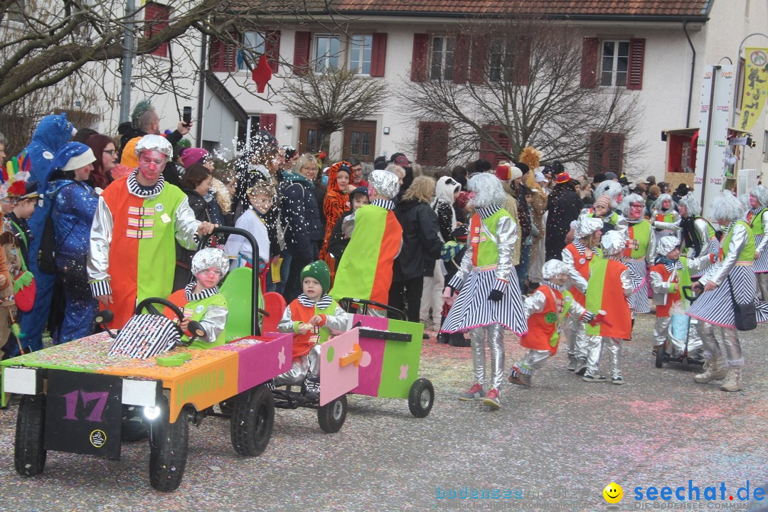 Fasnachtsumzug - Wuerenlingen, 11.02.2024