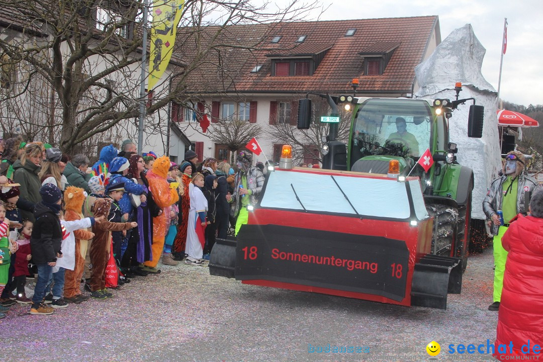 Fasnachtsumzug - Wuerenlingen, 11.02.2024