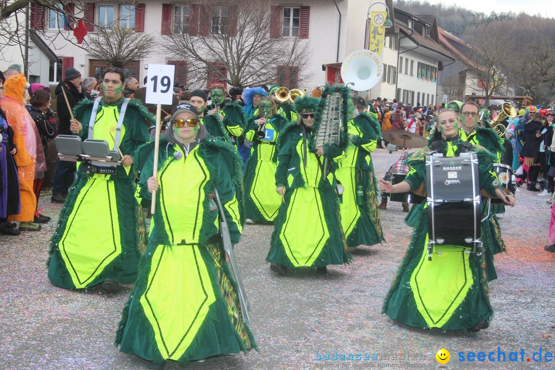 Fasnachtsumzug - Wuerenlingen, 11.02.2024