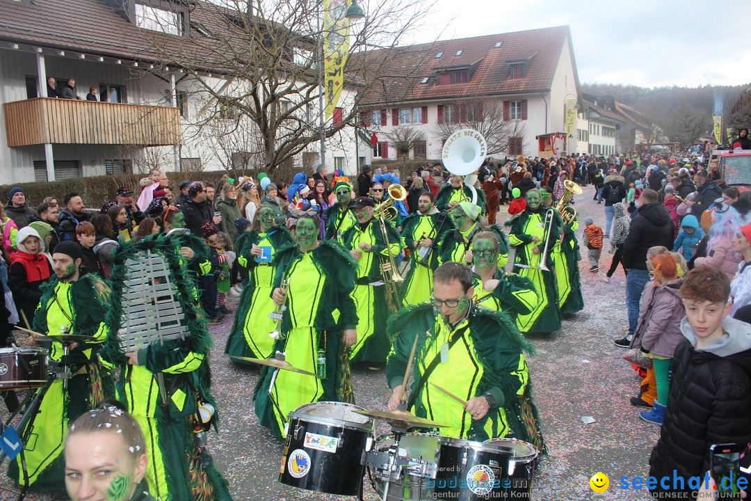 Fasnachtsumzug - Wuerenlingen, 11.02.2024