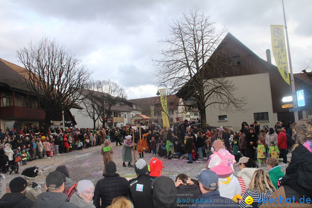 Fasnachtsumzug - Wuerenlingen, 11.02.2024