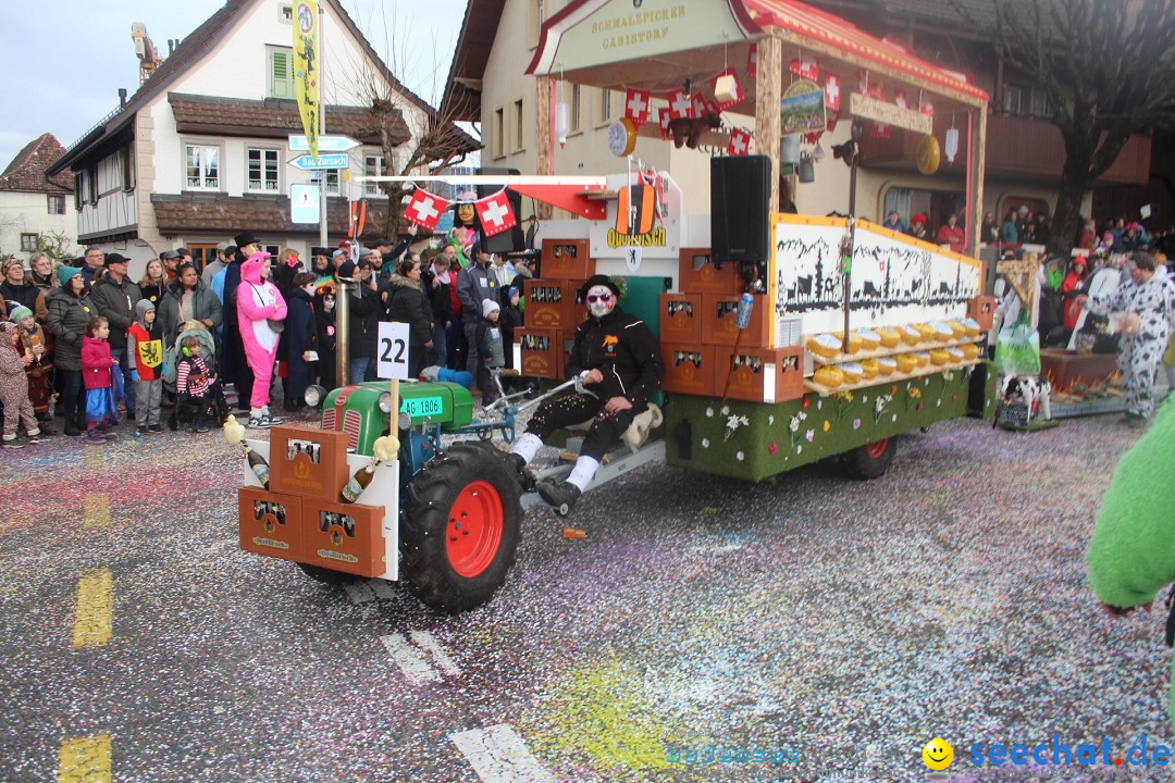 Fasnachtsumzug - Wuerenlingen, 11.02.2024