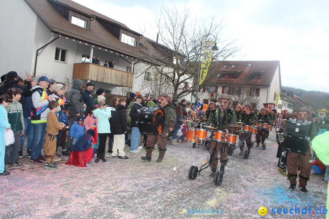 Fasnachtsumzug - Wuerenlingen, 11.02.2024