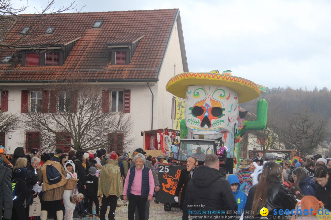 Fasnachtsumzug - Wuerenlingen, 11.02.2024