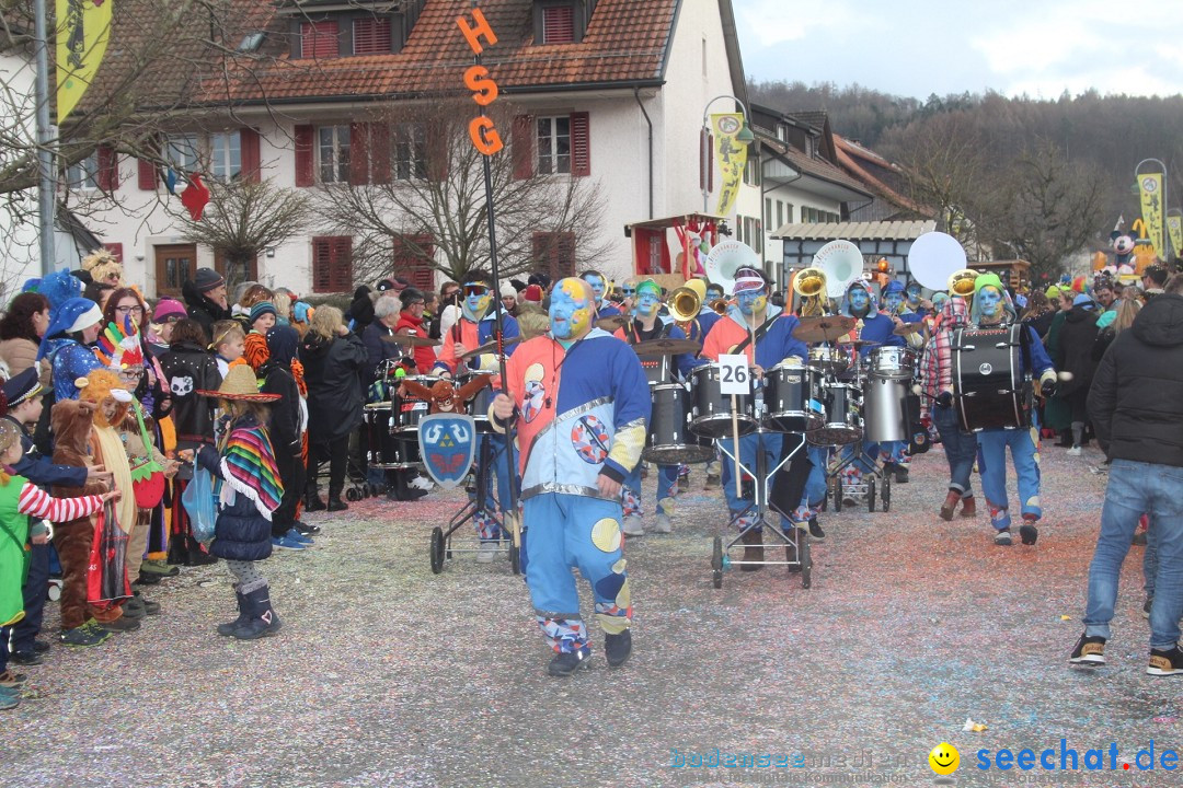 Fasnachtsumzug - Wuerenlingen, 11.02.2024