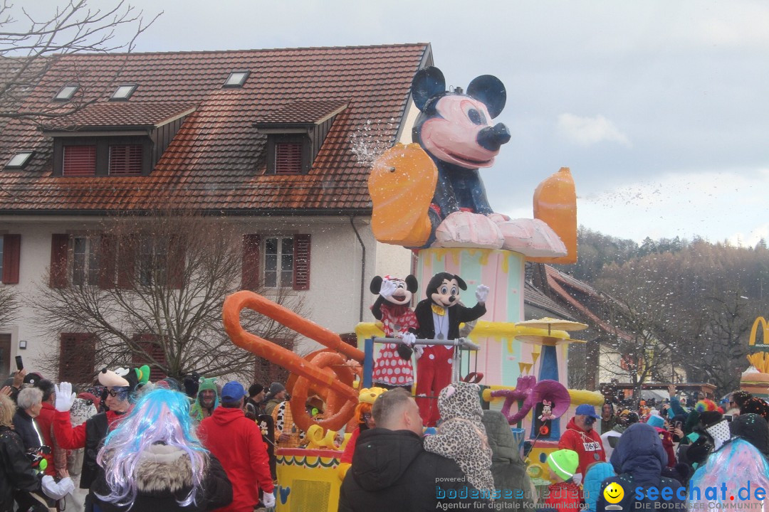 Fasnachtsumzug - Wuerenlingen, 11.02.2024