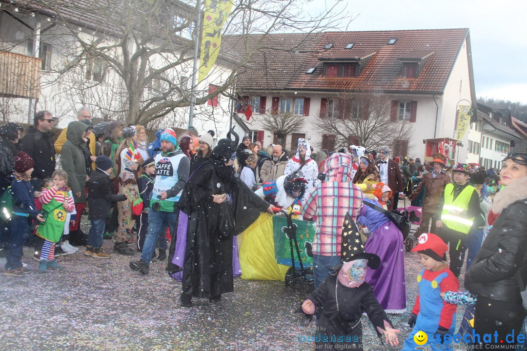 Fasnachtsumzug - Wuerenlingen, 11.02.2024