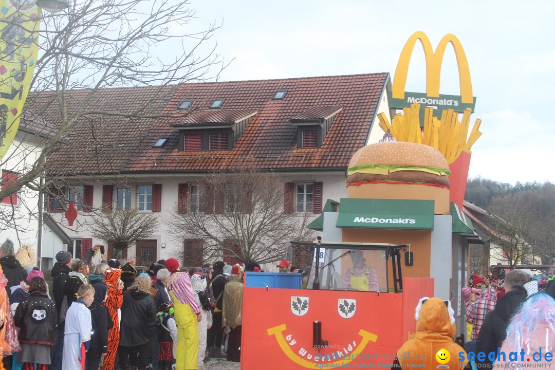 Fasnachtsumzug - Wuerenlingen, 11.02.2024