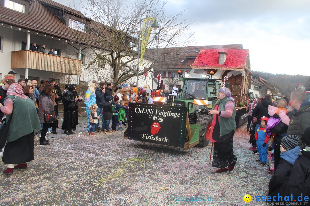 Fasnachtsumzug - Wuerenlingen, 11.02.2024