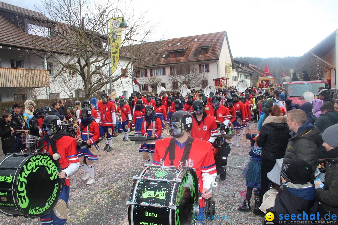 Fasnachtsumzug - Wuerenlingen, 11.02.2024