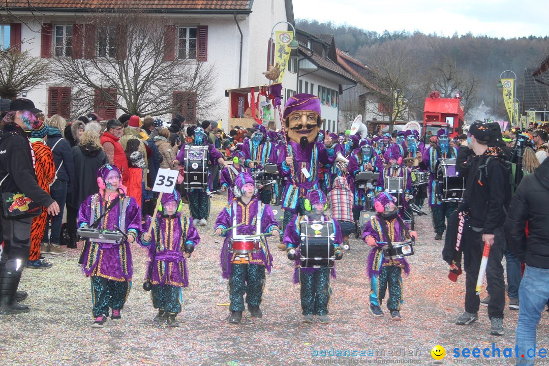 Fasnachtsumzug - Wuerenlingen, 11.02.2024