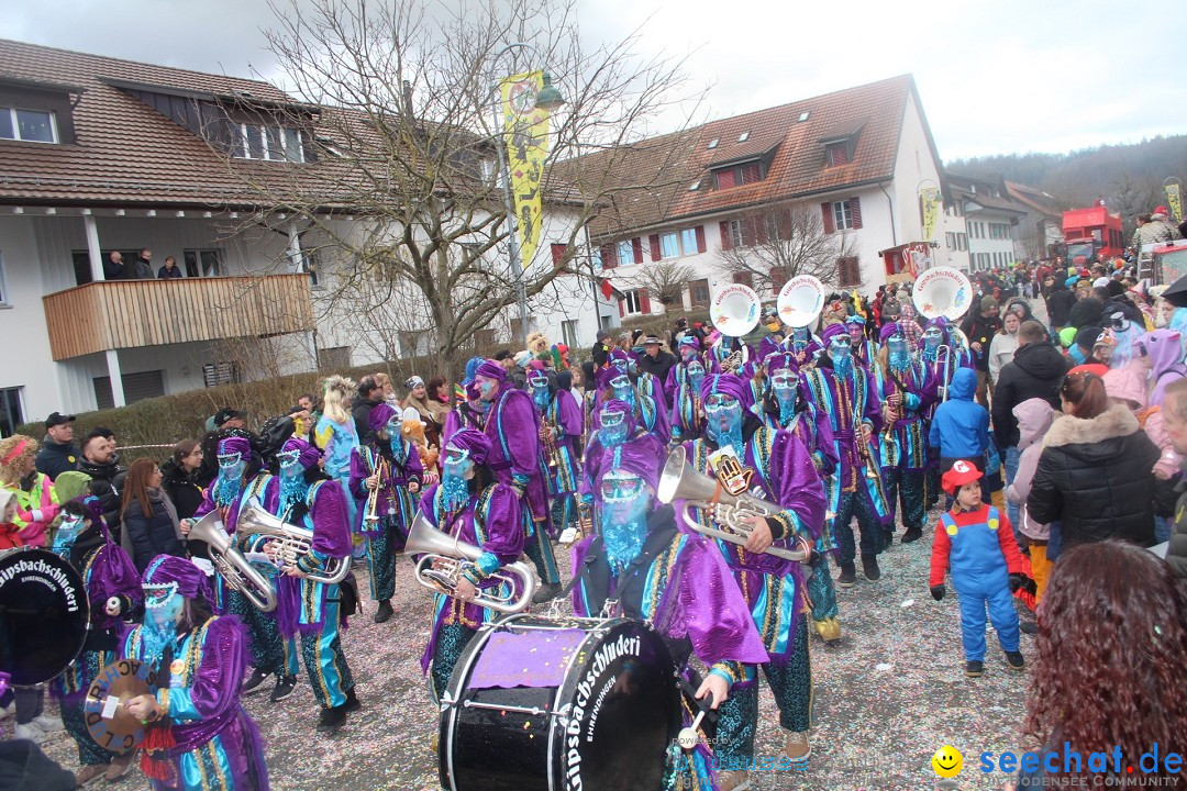 Fasnachtsumzug - Wuerenlingen, 11.02.2024