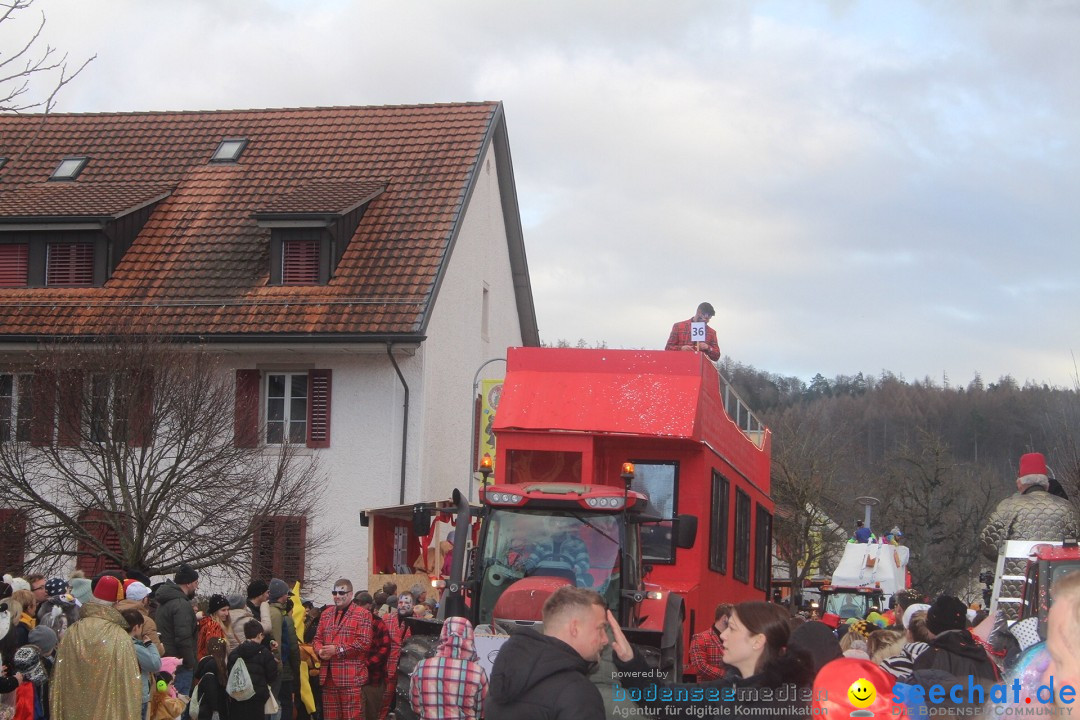 Fasnachtsumzug - Wuerenlingen, 11.02.2024