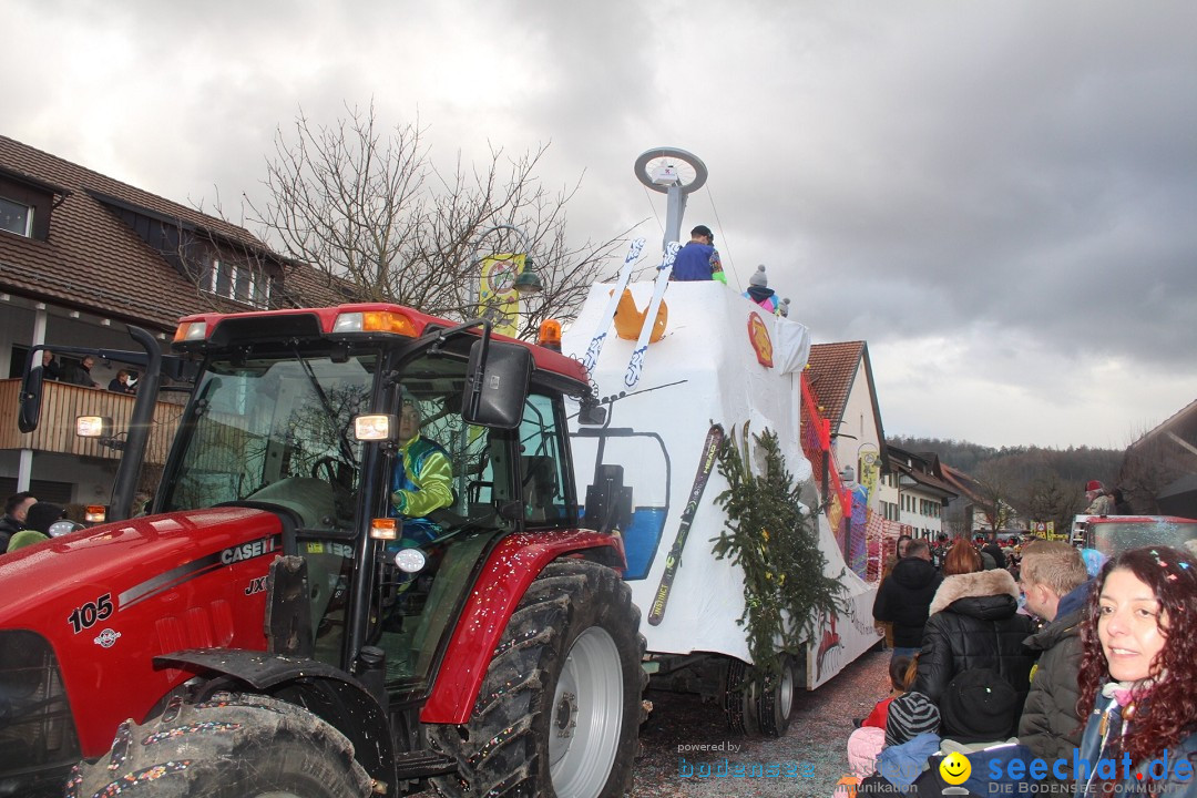 Fasnachtsumzug - Wuerenlingen, 11.02.2024