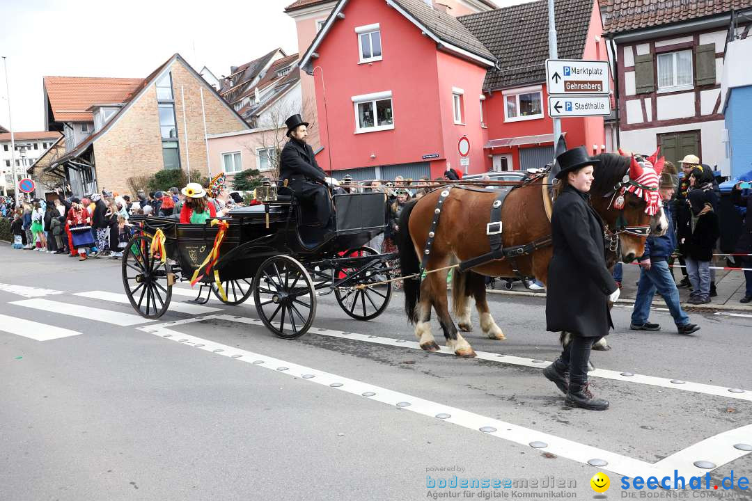 Narrenumzug: Markdorf am Bodensee, 11.02.2024