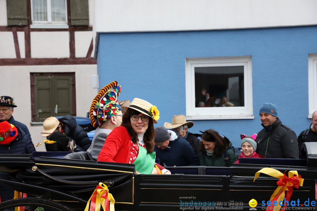 Narrenumzug: Markdorf am Bodensee, 11.02.2024