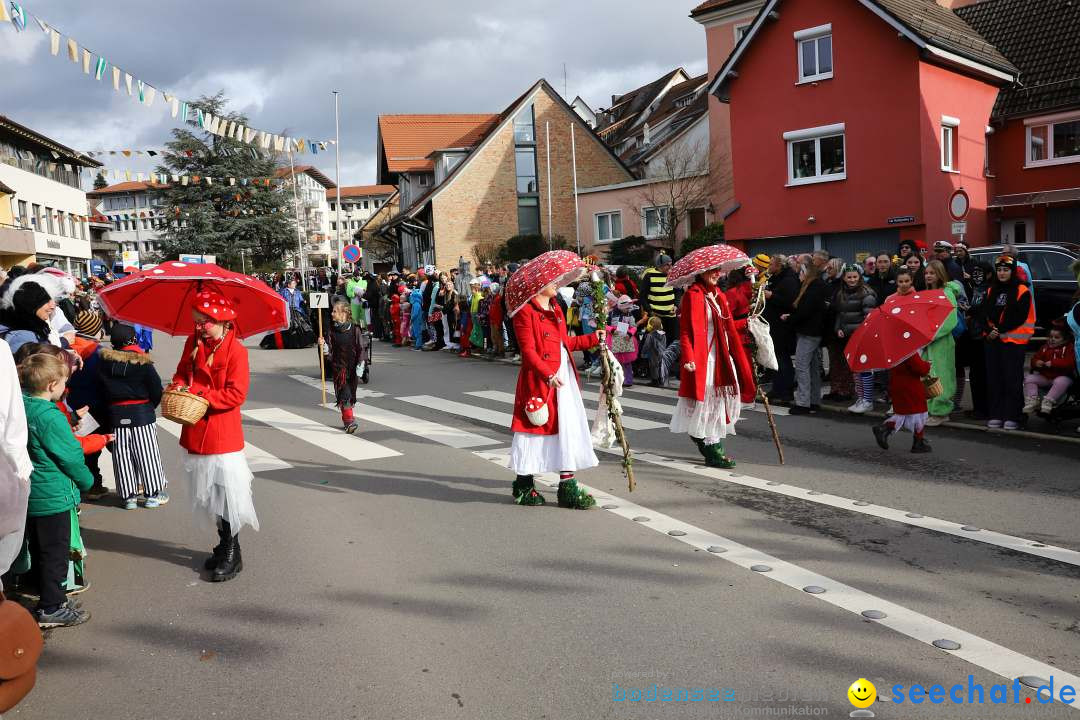 Narrenumzug: Markdorf am Bodensee, 11.02.2024