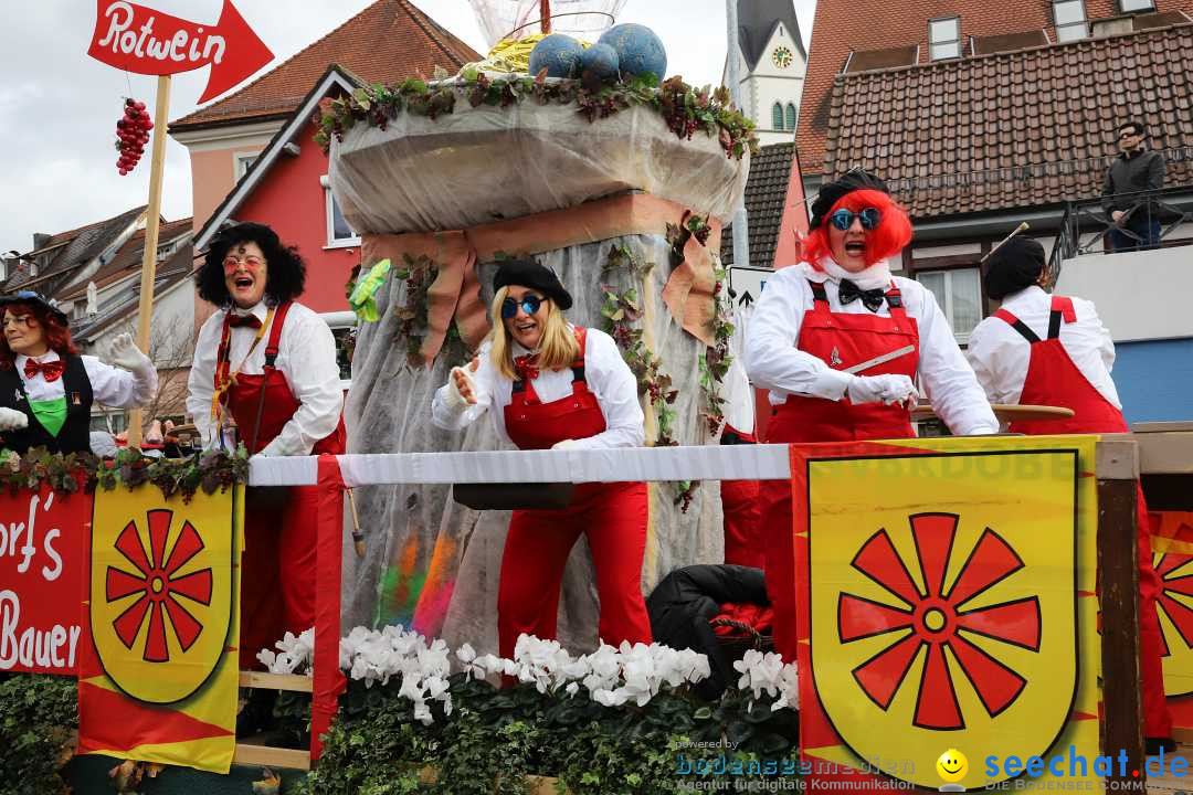 Narrenumzug: Markdorf am Bodensee, 11.02.2024