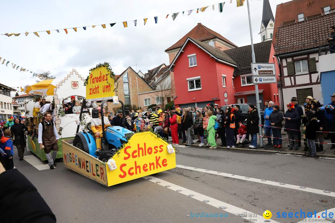 Narrenumzug: Markdorf am Bodensee, 11.02.2024