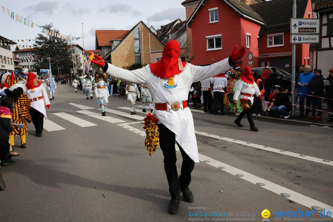 Narrenumzug: Markdorf am Bodensee, 11.02.2024